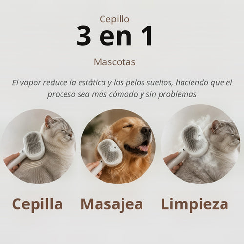 Cepillo 3 en 1