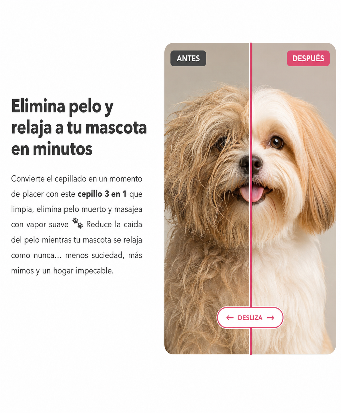 Cepillo 3 en 1